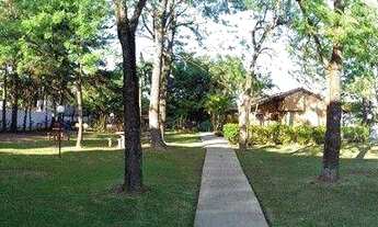 Imagem 7: Casa com 4 dormitórios para alugar!