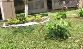 Imagem 2: Apartamento com 2 dormitórios à venda, 55 m² por R$ 210.000 - Santa Terezinha - São Bernar