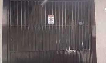 Imagem 2: 109228 Casa para aluguel tem 80 metros quadrados com 2 quartos em Belenzinho - São Paulo