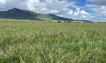 Imagem 2: FAZENDA EM ITABERABA - 3700 TAREFAS
