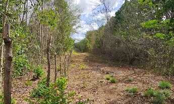 Imagem 3: VENDO 20 hectares, TERRENO NA BR343, ENTRE TERESINA/ALTOS