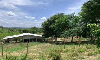 Imagem: Fazenda 47ha, 2 casas sede/caseiro plantação