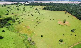 Imagem 7: Fazenda 26.8 alqueires município de Trindade-GO
