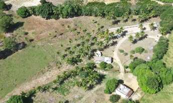 Imagem: Sitio a 1 km da BR trevo de Alfredo chaves