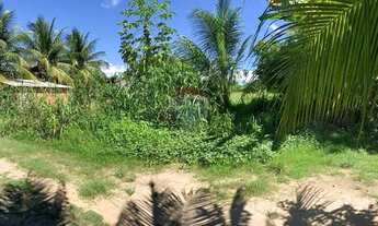 Imagem: Incrível terreno em Tatuamunha santuario