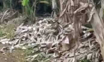 Imagem: Terreno 600m² com Casa Contrato - 20min