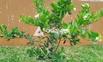 Imagem 7: Casa à venda, 73 metros do Lago de Olarias. Com 450m² de área total e 101m² de área útil