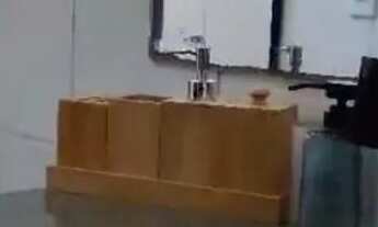 Imagem 7: Temporada no coração do jardim oceania