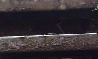 Imagem 7: Vendo chácara Chácara com venda por R$400.000