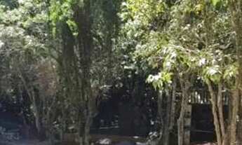 Imagem 5: Lote em Rua Madeira - Granja Carneiro Viana - Cotia/SP