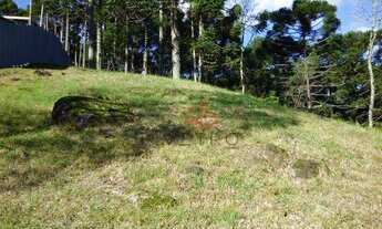 Imagem 2: Terreno à Venda em Gramado!