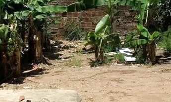 Imagem 7: Casa no Novo Amarante