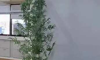 Imagem 2: Sala para alugar em Campinas, Cambuí, com 70 m², Office Park