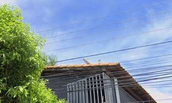 Imagem 3: Aluga - se casa Casa com 2 dormitórios