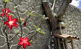 Imagem 2: ALUGO DUAS CASAS POR PREÇO DE UMA, EM ALDEIA, TEMPORADA, FESTAS, FINAIS DE SEMANA E ETC