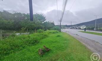 Imagem 4: Terreno amplo em localização estratégica em Florianópolis