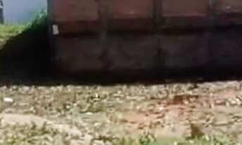 Imagem: Vendo terreno no jardim satélite II