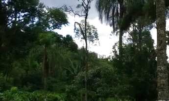 Imagem 7: SÍTIO - RETIRO - SP