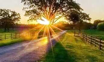 Imagem: Terreno perto de São Roque com vista