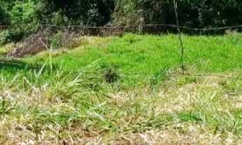 Imagem: TERRENO NA ESTRADA DA SAMARCO/ ALEGRE ES