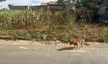 Imagem 3: Lote em Residencial Hebrom - Senador Canedo - GO