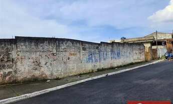 Imagem 5: Terreno Parque Boturussu São Paulo/SP