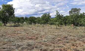 Imagem 3: Terreno à venda 5000M², Jardim Florianópolis, Cuiabá - MT