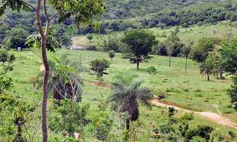 Imagem 6: FAZENDA Á VENDA 75 ALQUEIRES URUANA - GO