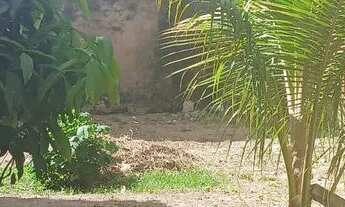 Imagem 6: Venda de terreno na divinéia