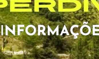 Imagem: Réveillon - Parque do China