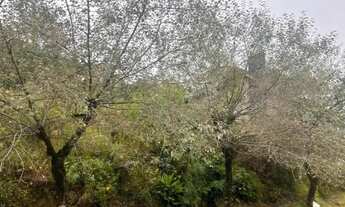 Imagem 6: Terreno - Bairro Vale das Colinas