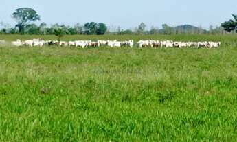 Imagem: Fazenda 1994 hectares documentada Cuiabá
