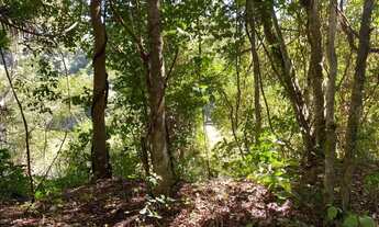 Imagem 6: Chácaras de 20mil mt em Goiás velho rio vermelho no fundo