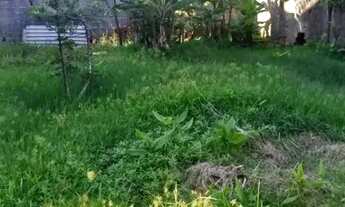 Imagem 6: AREA - JARDIM LAS VEGAS - SP