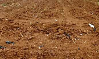 Imagem 2: Vendi 2 hectares de terra