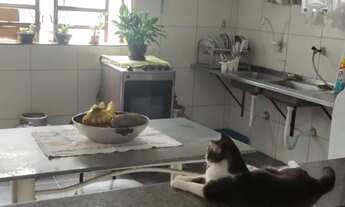 Imagem 7: Vendo casa em Piedade/Candeias