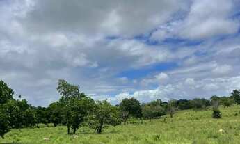 Imagem 7: Fazenda de oportunidade
