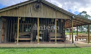 Imagem 3: LOCAÇÃO DE CHÁCARA PARA LAZER, FINAIS DE SEMANA, EVENTOS, CONFRATERNIZAÇÃO