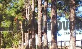 Imagem: Haras no Chapadão em Porto Feliz