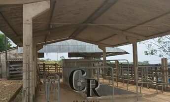 Imagem: Fazenda em Piracanjuba - GO