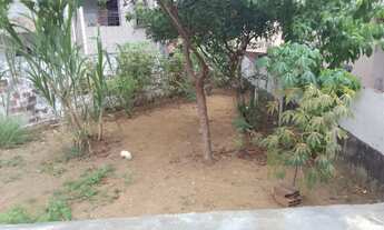 Imagem 3: Aluga-se casa no São Caetano