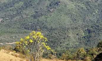 Imagem 7: Terrenos que o cliente pede Rota do Vinho