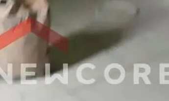 Imagem 5: Casa em Rua Braz Sátiro de Souza - Aclimação - Uberlândia/MG