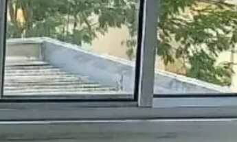 Imagem 7: Apartamento Planejado à Venda Condomínio Villagio Safira