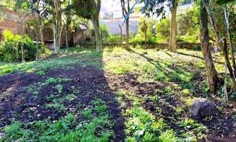 Imagem 4: CAXIAS DO SUL - Terreno Padrão - RIO BRANCO