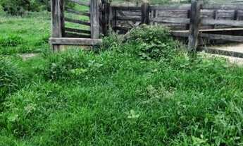 Imagem 2: Vende se propriedade