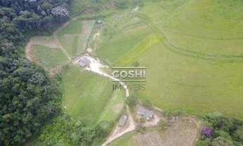 Imagem: Sítio com 2 dormitórios à venda, 150000