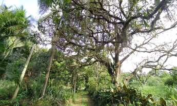 Imagem 2: Sítio em Guaratiba