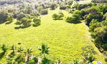 Imagem 5: Sitio à Venda em Catu - BA | Sitio em Catu à Venda | 13 Hectares | Pasto | Pomar