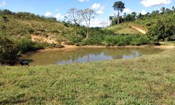 Imagem 6: Terra 10 alqueires.